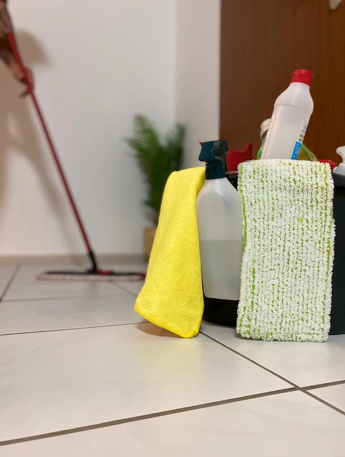 Lamassu Clean - Reinigungsprodukte in einem auf dem Boden stehenden Korb